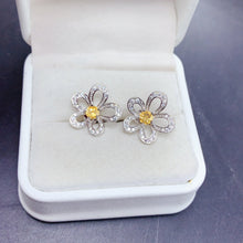 Charger l'image dans la galerie, BXX - 0615 - 103001 - 4 - 1 - 貴婦人の宝箱