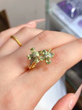 Charger l'image dans la galerie, JCK - 0620 - 154507 - 4 - 1 - 貴婦人の宝箱