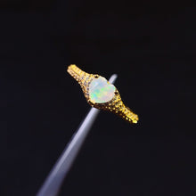 Charger l'image dans la galerie, JCK - 0620 - 154829 - 5 - 1 - 貴婦人の宝箱