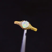 Charger l'image dans la galerie, JCK - 0620 - 154829 - 5 - 1 - 貴婦人の宝箱