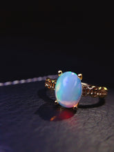 Charger l'image dans la galerie, JCK - 0620 - 154914 - 10 - 1 - 貴婦人の宝箱