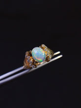 Charger l'image dans la galerie, JCK - 0620 - 154938 - 8 - 1 - 貴婦人の宝箱