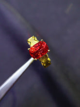 Charger l'image dans la galerie, JCK - 0620 - 155051 - 9 - 1 - 貴婦人の宝箱