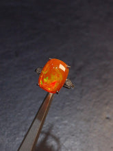 Charger l'image dans la galerie, JCK - 0630 - 131141 - 14 - 1 - 貴婦人の宝箱