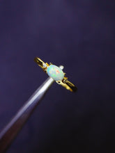 Charger l'image dans la galerie, JCK - 0630 - 131522 - 6 - 1 - 貴婦人の宝箱