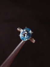Charger l'image dans la galerie, JCM - 0620 - 135512 - 10 - 1 - 貴婦人の宝箱