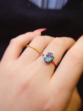 Charger l'image dans la galerie, JCM - 0620 - 135545 - 8 - 1 - 貴婦人の宝箱