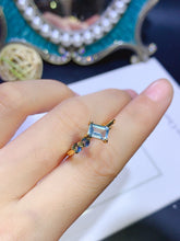 Charger l'image dans la galerie, JCM - 0620 - 140100 - 6 - 1 - 貴婦人の宝箱