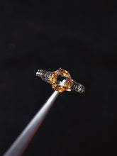 Charger l'image dans la galerie, JCM - 0620 - 142836 - 4 - 1 - 貴婦人の宝箱