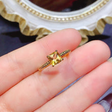 Charger l'image dans la galerie, JCM - 0620 - 143521 - 6 - 1 - 貴婦人の宝箱