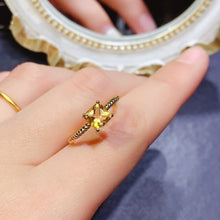 Charger l'image dans la galerie, JCM - 0620 - 143521 - 6 - 1 - 貴婦人の宝箱