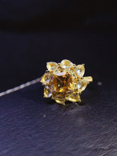 Charger l'image dans la galerie, JCM - 0620 - 143533 - 5 - 1 - 貴婦人の宝箱