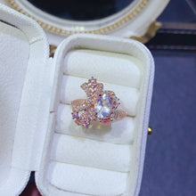 Charger l'image dans la galerie, JCX - 0620 - 140144 - 1 - 貴婦人の宝箱