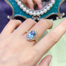 Charger l'image dans la galerie, JCX - 0620 - 142531 - 1 - 貴婦人の宝箱