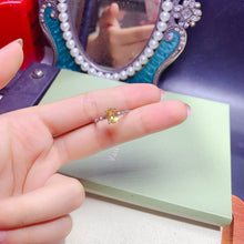 Charger l'image dans la galerie, JCX - 0620 - 143401 - 1 - 貴婦人の宝箱