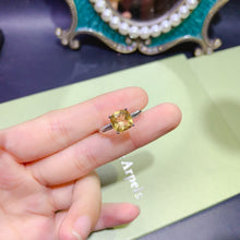 Charger l'image dans la galerie, JCX - 0620 - 143514 - 1 - 貴婦人の宝箱
