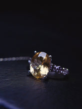 Charger l'image dans la galerie, JCX - 0620 - 143542 - 10 - 1 - 貴婦人の宝箱