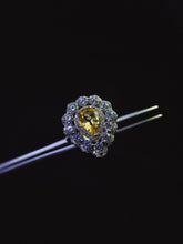 Charger l'image dans la galerie, JCX - 0620 - 143634 - 9 - 1 - 貴婦人の宝箱