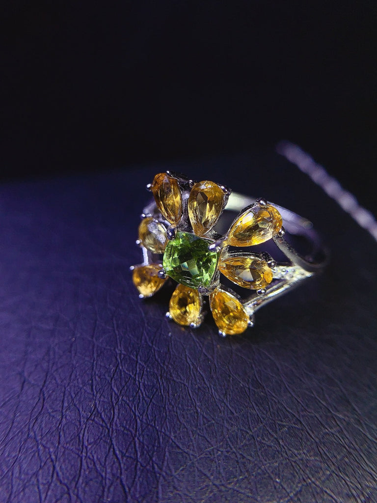 JCX - 0620 - 143708 - 5 - 1 - 貴婦人の宝箱