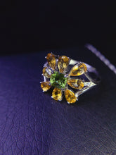 Charger l'image dans la galerie, JCX - 0620 - 143708 - 5 - 1 - 貴婦人の宝箱