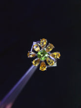 Charger l'image dans la galerie, JCX - 0620 - 143708 - 5 - 1 - 貴婦人の宝箱