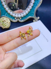 Charger l'image dans la galerie, JCX - 0620 - 143719 - 5 - 1 - 貴婦人の宝箱