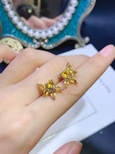Charger l'image dans la galerie, JCX - 0620 - 143719 - 5 - 1 - 貴婦人の宝箱