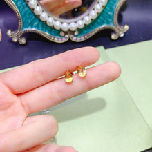 Charger l'image dans la galerie, JCX - 0620 - 143746 - 6 - 1 - 貴婦人の宝箱