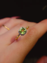 Charger l'image dans la galerie, JCX - 0620 - 151643 - 6 - 1 - 貴婦人の宝箱