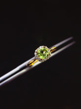 Charger l'image dans la galerie, JCX - 0620 - 151643 - 6 - 1 - 貴婦人の宝箱