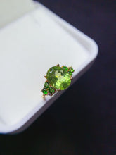 Charger l'image dans la galerie, JCX - 0620 - 151717 - 10 - 1 - 貴婦人の宝箱
