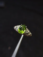 Charger l'image dans la galerie, JCX - 0620 - 151725 - 9 - 1 - 貴婦人の宝箱