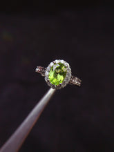 Charger l'image dans la galerie, JCX - 0620 - 151745 - 8 - 1 - 貴婦人の宝箱