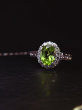 Charger l'image dans la galerie, JCX - 0620 - 151745 - 8 - 1 - 貴婦人の宝箱
