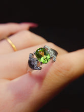 Charger l'image dans la galerie, JCX - 0620 - 151756 - 8 - 1 - 貴婦人の宝箱