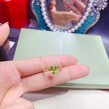 Charger l'image dans la galerie, JCX - 0620 - 151810 - 1 - 貴婦人の宝箱
