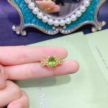 Charger l'image dans la galerie, JCX - 0620 - 151818 - 1 - 貴婦人の宝箱