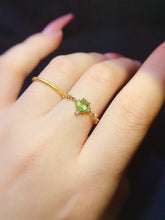 Charger l'image dans la galerie, JCX - 0620 - 151905 - 5 - 1 - 貴婦人の宝箱