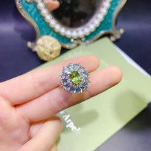 Charger l'image dans la galerie, JCX - 0620 - 152521 - 1 - 貴婦人の宝箱