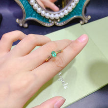 Charger l'image dans la galerie, JCX - 0620 - 160304 - 6 - 1 - 貴婦人の宝箱