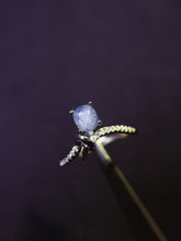 Charger l'image dans la galerie, JCX - 0620 - 162846 - 5 - 1 - 貴婦人の宝箱