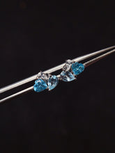 Charger l'image dans la galerie, JCX - 0620 - 163016 - 6 - 1 - 貴婦人の宝箱