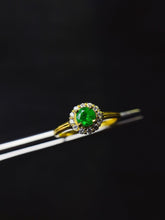 Charger l'image dans la galerie, JCX - 0630 - 132853 - 5 - 1 - 貴婦人の宝箱