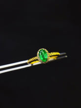 Charger l'image dans la galerie, JCX - 0630 - 133956 - 6 - 1 - 貴婦人の宝箱