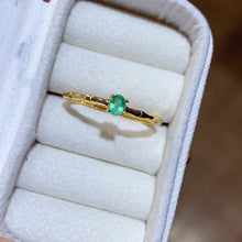 Charger l'image dans la galerie, JCX - 0630 - 134255 - 4 - 1 - 貴婦人の宝箱