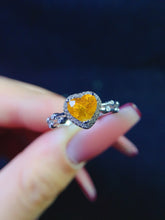 Charger l'image dans la galerie, JCX - 0630 - 140114 - 6 - 1 - 貴婦人の宝箱