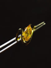 Charger l'image dans la galerie, JCX - 0630 - 140122 - 10 - 1 - 貴婦人の宝箱