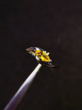 Charger l'image dans la galerie, JCX - 0630 - 140230 - 8 - 1 - 貴婦人の宝箱
