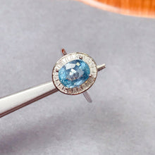 Charger l'image dans la galerie, JCX - 0630 - 141106 - 9 - 1 - 貴婦人の宝箱