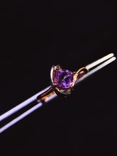 Charger l'image dans la galerie, JCX - 0630 - 143927 - 5 - 1 - 貴婦人の宝箱